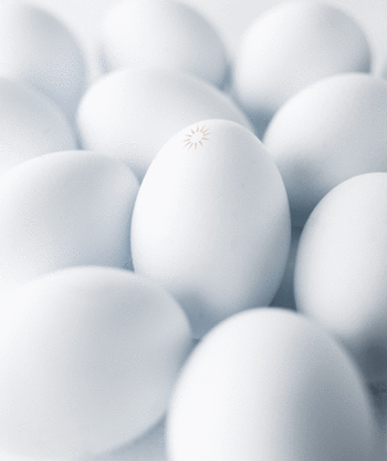 PRIOR egg