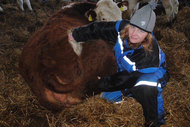 Viktig å sjekke etter sliming. Her blir det notering i brunstkalender!