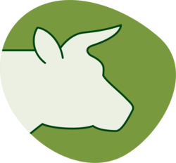 Logo storfe