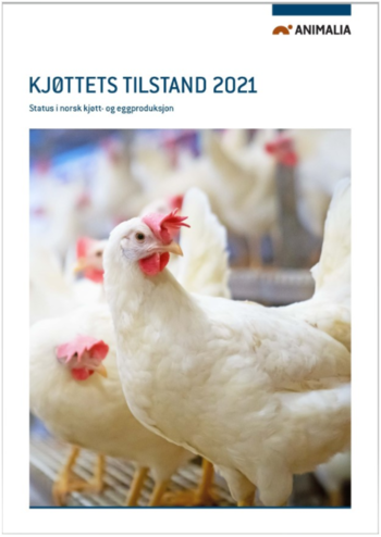 Kjøttets tilstand 2021