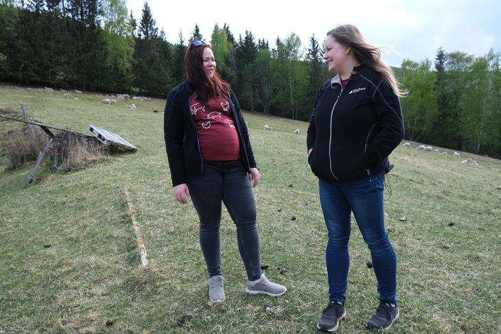 Rådgiver Eirin Sveahagen i samtale med bonden Irene Haugalien, ute på innmarksbeite med sauer i bakgrunn.
