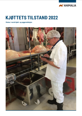 Kjøttets tilstand 2022