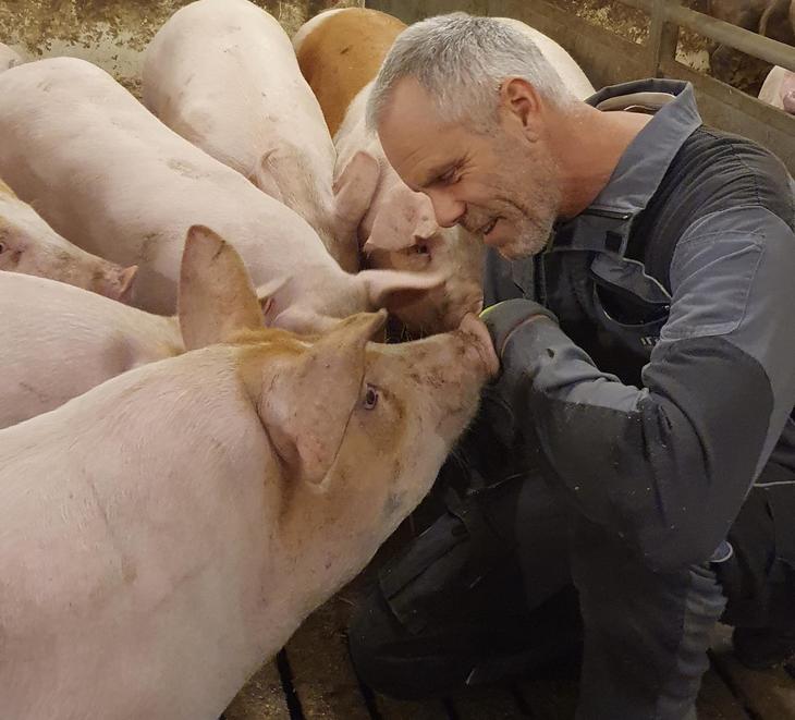 En bonde sitter på huk i en grisebinge og smiler vennlig til grisene som har samlet seg rundt ham.