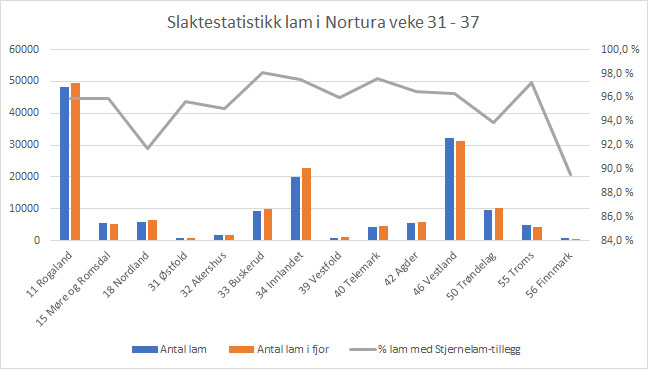 Graf slaktestastistikk lam i Nortura veke 31 - 37