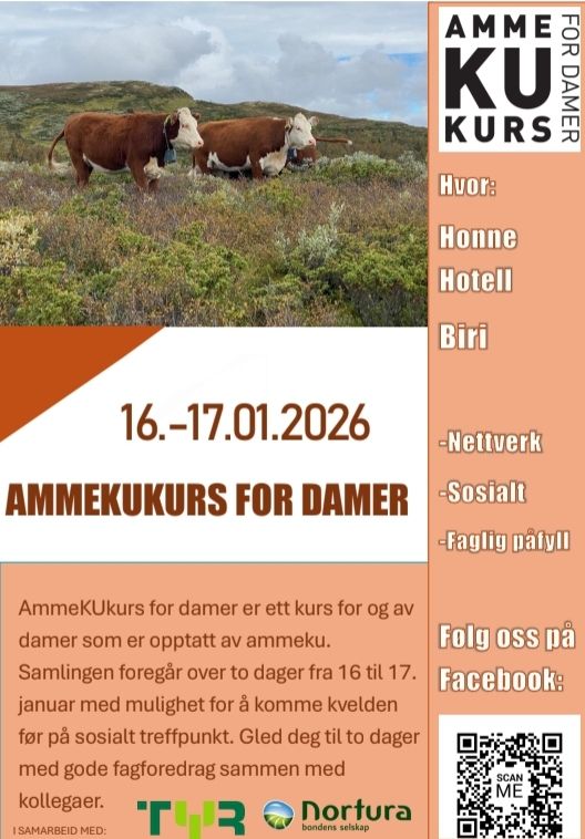 Plakat for kurset
