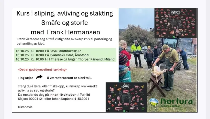 Klikk for større bilde