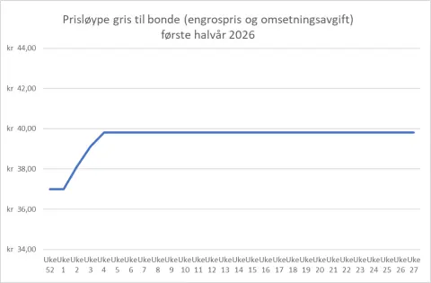 Graf gris engrospris med omsetningsavgift 1. halvår 2026