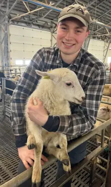 Theodor Enok Bakken Skramstad, Sivilingeniør og dataingeniør i Animalia