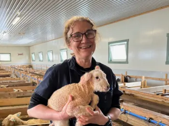 Siv Svendsen, spesialveterinær HT sau, Animalia