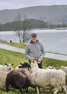 Ove Sørestrand, NLR