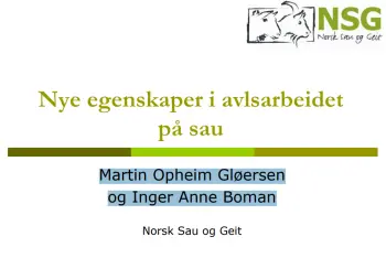 Nye egenskaper i avlsarbeidet på sau, pdf. 1 MB