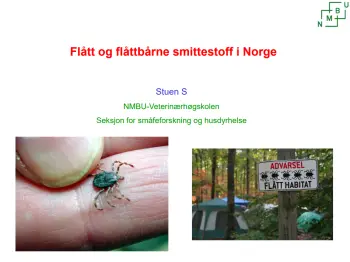 Flåttbårne sjukdommer, pdf. 4 MB