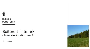 Hvor sterkt står beiteretten, pdf. 1 MB