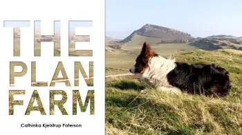 Beite og håndtering av sau Cathinka Kjelstrup Paterson, pdf. 6 MB