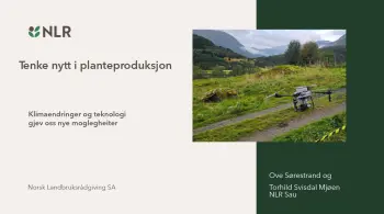 Tenke nytt i grovfôrproduksjonen på sau Ove Sørestrand og Torhild Svisdal Mjøen, pdf. 2 MB