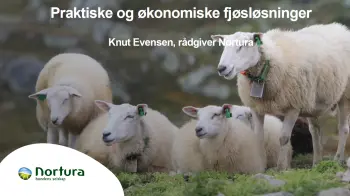Praktiske og økonomiske fjøsløsninger for sau Knut Evensen, pdf. 5 MB