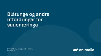 Blåtunge og andre utfordringer for sauenæringa Siv Svendsen, pdf. 4 MB